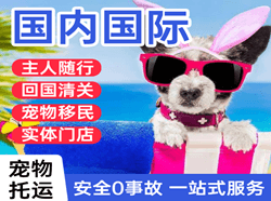 山南隆子航空物流国际宠物托运 【国